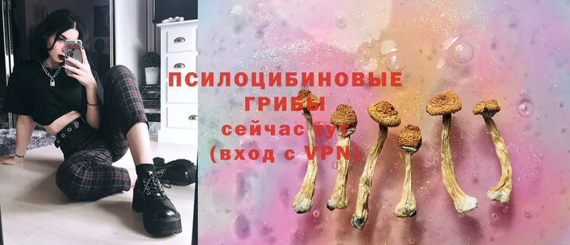 Галлюциногенные грибы Psilocybe  ссылка на мегу ONION  Барабинск 